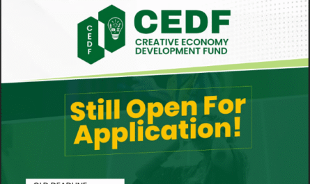 Young Nigerians Can Apply for the $100,000 Federal Government Creative Economy Development Fund (CEDF) 2025