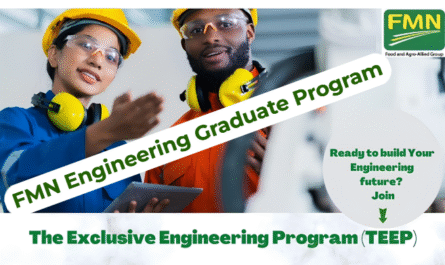 How to Apply for the FMN Engineering Graduate Program 2025 (TEEP) at Flour Mills of Nigeria