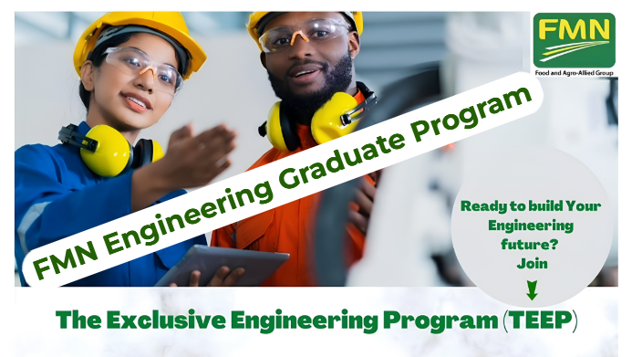 How to Apply for the FMN Engineering Graduate Program 2025 (TEEP) at Flour Mills of Nigeria
