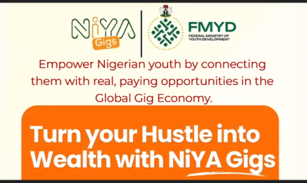 Federal Government Offers Career Opportunities Through the NIYA Gigs Digital Talents Nigerian Youth Program 2025