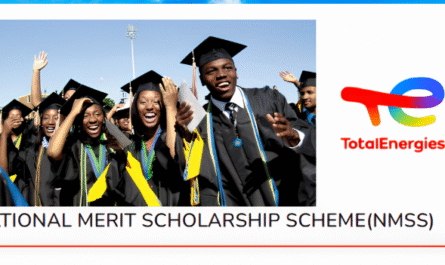 How to Apply for the TotalEnergies National Merit Scholarship Scheme, 2025