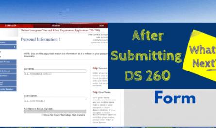 What Next After Submitting DS-260