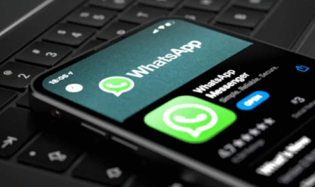 WhatsApp & TikTok Update: 3 Settings You Need To Turn On Your WhatsApp Now