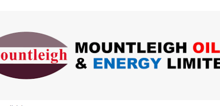 Process Engineer at Mountleigh Oil and Energy Limited