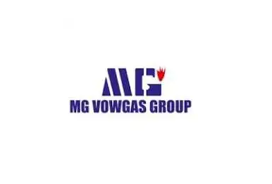 Nigerian Content and Development Coordinator at MG Vowgas Group