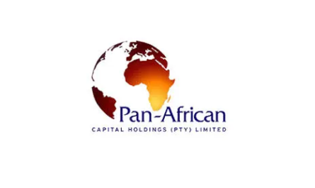 Digital & Marketing Communications Analyst at PanAfrican Capital Holdings Limited