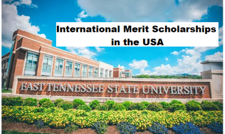 East Tennessee State University 2026 International Merit Scholarships in the USA