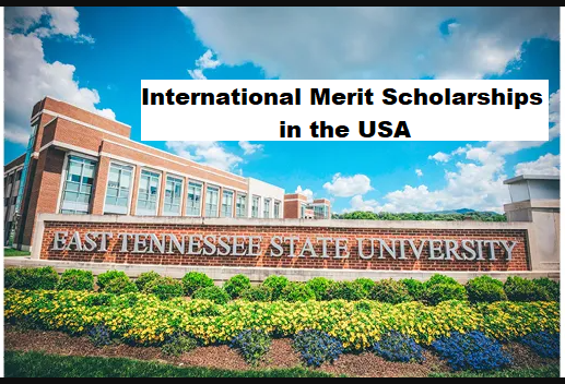 East Tennessee State University 2026 International Merit Scholarships in the USA