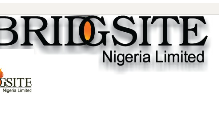 Professional and Skilled Technicians Job Vacancies at Bridgsite Nigeria Limited